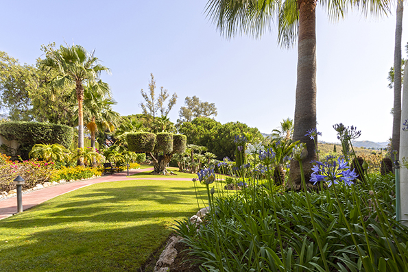 fotografo-inmobiliaria-malaga-fotografo-inmobiliaria-malaga-fotografo-inmobiliarias-malaga-fotografo-inmobiliarias-malaga-fotografo-inmobiliario-malaga-fotografo-interiores-malaga-fotografo-casas-malaga-fotografo-casas-malaga-fotografo-pisos-malaga-fotografo-pisos-turisticos-malaga